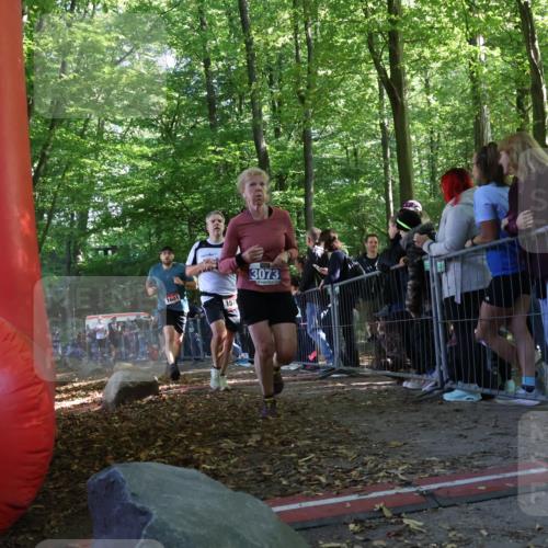 28.09.2025 - 33. Volkslauf durch das schöne Alstertal Strokosch-Dieckow http://msf.ph/oto/8967854 28.09.2025 11:46:03 Ziel 1008, 1564, 1578, 1589, 1601, 3073 meine-sportfotos.de