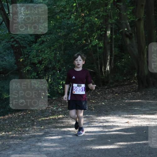 28.09.2025 - 33. Volkslauf durch das schöne Alstertal Strokosch-Dieckow http://msf.ph/oto/8967873 28.09.2025 10:45:42 Laufen 5951 meine-sportfotos.de