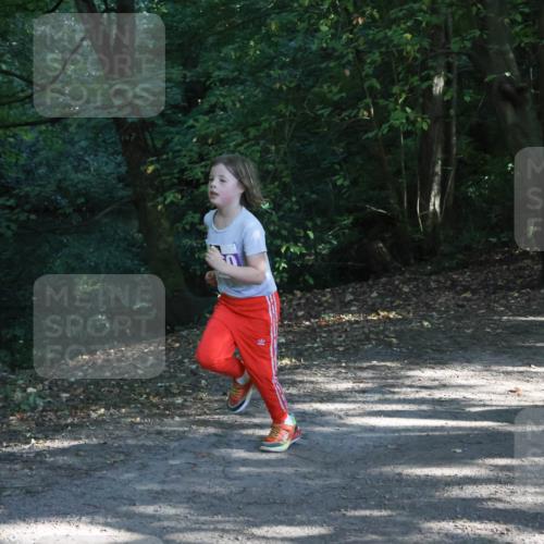 28.09.2025 - 33. Volkslauf durch das schöne Alstertal Strokosch-Dieckow http://msf.ph/oto/8967877 28.09.2025 10:45:47 Laufen  meine-sportfotos.de
