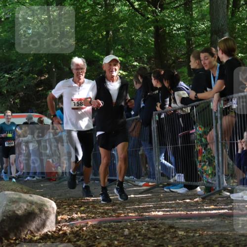 28.09.2025 - 33. Volkslauf durch das schöne Alstertal Strokosch-Dieckow http://msf.ph/oto/8967878 28.09.2025 11:46:07 Ziel 1008, 1564, 1589 meine-sportfotos.de