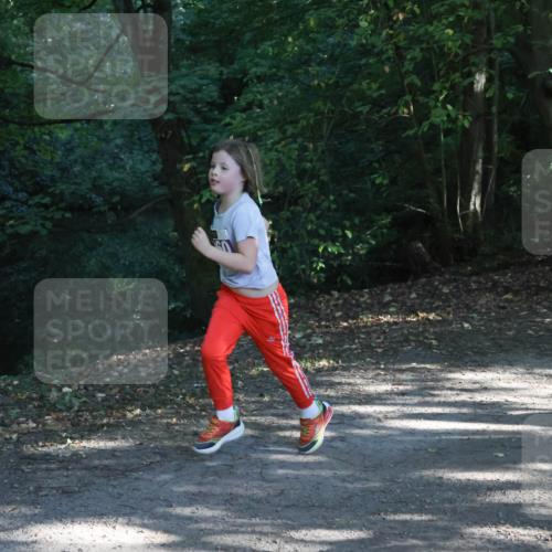 28.09.2025 - 33. Volkslauf durch das schöne Alstertal Strokosch-Dieckow http://msf.ph/oto/8967879 28.09.2025 10:45:47 Laufen  meine-sportfotos.de