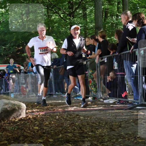 28.09.2025 - 33. Volkslauf durch das schöne Alstertal Strokosch-Dieckow http://msf.ph/oto/8967882 28.09.2025 11:46:07 Ziel 1008, 1564, 1589 meine-sportfotos.de