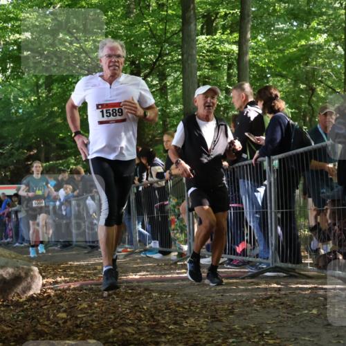 28.09.2025 - 33. Volkslauf durch das schöne Alstertal Strokosch-Dieckow http://msf.ph/oto/8967884 28.09.2025 11:46:08 Ziel 1008, 1564, 1589 meine-sportfotos.de