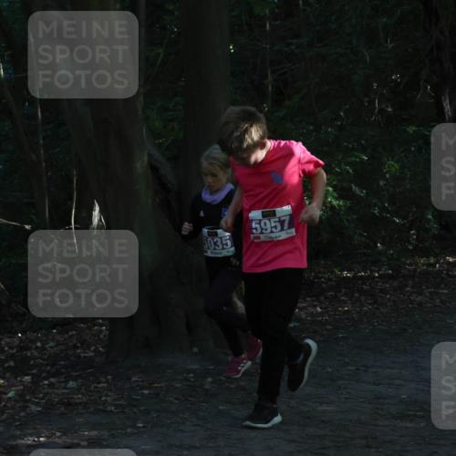 28.09.2025 - 33. Volkslauf durch das schöne Alstertal Strokosch-Dieckow http://msf.ph/oto/8967887 28.09.2025 10:46:07 Laufen 5957, 5004, 502, 5035 meine-sportfotos.de
