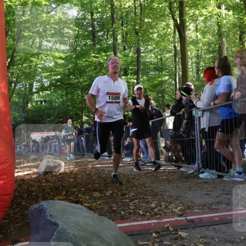 28.09.2025 - 33. Volkslauf durch das schöne Alstertal Strokosch-Dieckow http://msf.ph/oto/8967888 28.09.2025 11:46:09 Ziel 1008, 1564, 1589 meine-sportfotos.de