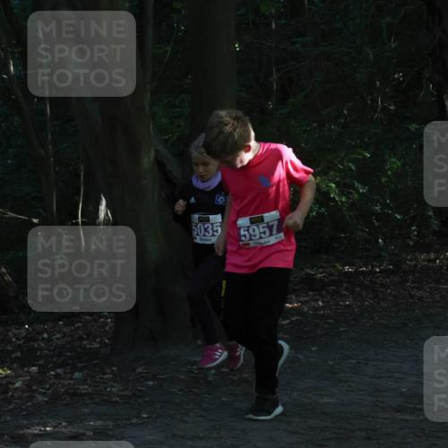 28.09.2025 - 33. Volkslauf durch das schöne Alstertal Strokosch-Dieckow http://msf.ph/oto/8967889 28.09.2025 10:46:07 Laufen 5035, 5957, 5004, 502 meine-sportfotos.de
