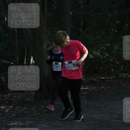 28.09.2025 - 33. Volkslauf durch das schöne Alstertal Strokosch-Dieckow http://msf.ph/oto/8967890 28.09.2025 10:46:07 Laufen 5035, 5957, 5004, 5025 meine-sportfotos.de