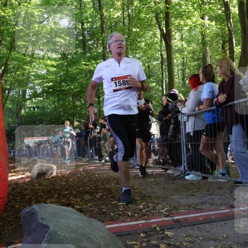 28.09.2025 - 33. Volkslauf durch das schöne Alstertal Strokosch-Dieckow http://msf.ph/oto/8967892 28.09.2025 11:46:09 Ziel 1008, 1564, 1589 meine-sportfotos.de