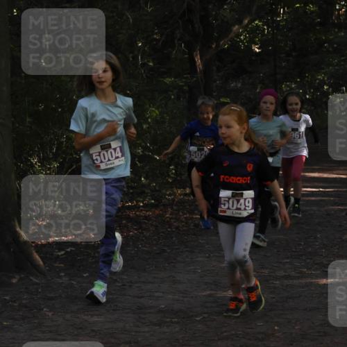 28.09.2025 - 33. Volkslauf durch das schöne Alstertal Strokosch-Dieckow http://msf.ph/oto/8967893 28.09.2025 10:46:09 Laufen 5004, 502, 5049, 961 meine-sportfotos.de