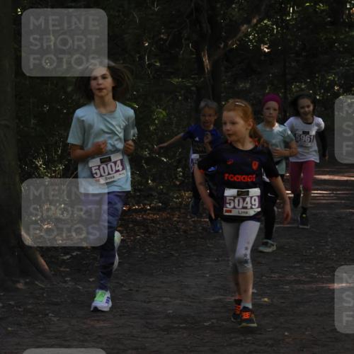 28.09.2025 - 33. Volkslauf durch das schöne Alstertal Strokosch-Dieckow http://msf.ph/oto/8967894 28.09.2025 10:46:09 Laufen 5004, 5049, 5961 meine-sportfotos.de