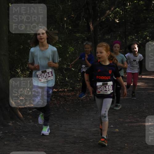 28.09.2025 - 33. Volkslauf durch das schöne Alstertal Strokosch-Dieckow http://msf.ph/oto/8967896 28.09.2025 10:46:09 Laufen 5004, 5049, 5961 meine-sportfotos.de