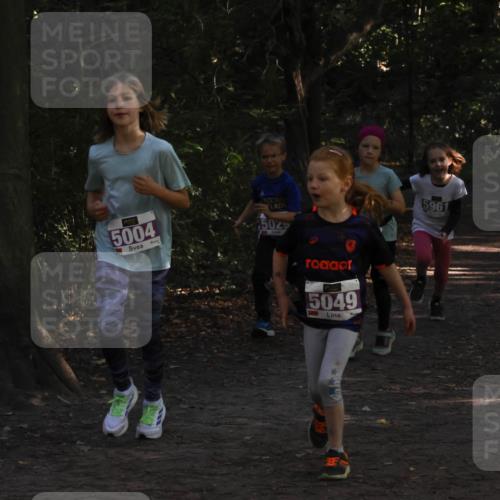 28.09.2025 - 33. Volkslauf durch das schöne Alstertal Strokosch-Dieckow http://msf.ph/oto/8967897 28.09.2025 10:46:09 Laufen 5004, 50, 5049, 5961 meine-sportfotos.de