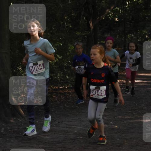28.09.2025 - 33. Volkslauf durch das schöne Alstertal Strokosch-Dieckow http://msf.ph/oto/8967899 28.09.2025 10:46:10 Laufen 5004, 5029, 5049, 5961 meine-sportfotos.de