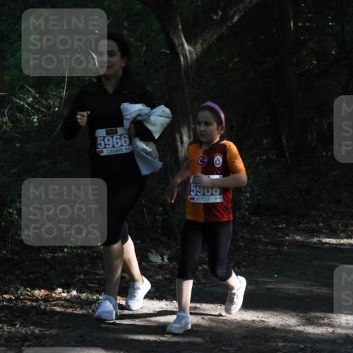 28.09.2025 - 33. Volkslauf durch das schöne Alstertal Strokosch-Dieckow http://msf.ph/oto/8967909 28.09.2025 10:47:05 Laufen 5966, 5900 meine-sportfotos.de