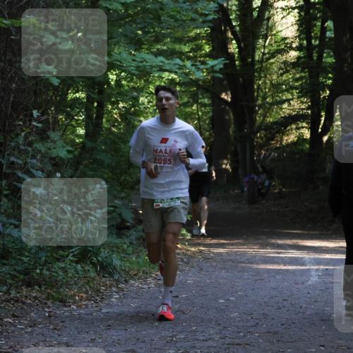 28.09.2025 - 33. Volkslauf durch das schöne Alstertal Strokosch-Dieckow http://msf.ph/oto/8967912 28.09.2025 10:48:27 Laufen 2025 meine-sportfotos.de