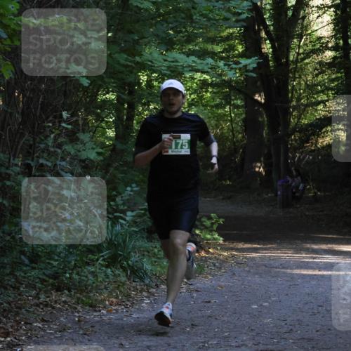 28.09.2025 - 33. Volkslauf durch das schöne Alstertal Strokosch-Dieckow http://msf.ph/oto/8967913 28.09.2025 10:48:31 Laufen 175 meine-sportfotos.de