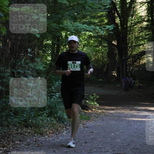 28.09.2025 - 33. Volkslauf durch das schöne Alstertal Strokosch-Dieckow http://msf.ph/oto/8967915 28.09.2025 10:48:31 Laufen 4175 meine-sportfotos.de