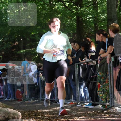 28.09.2025 - 33. Volkslauf durch das schöne Alstertal Strokosch-Dieckow http://msf.ph/oto/8967917 28.09.2025 11:46:19 Ziel 3386 meine-sportfotos.de