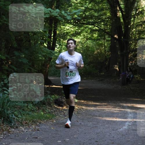 28.09.2025 - 33. Volkslauf durch das schöne Alstertal Strokosch-Dieckow http://msf.ph/oto/8967919 28.09.2025 10:48:47 Laufen 4114 meine-sportfotos.de