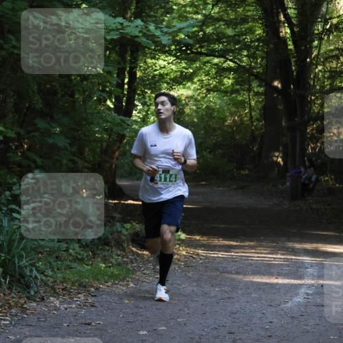 28.09.2025 - 33. Volkslauf durch das schöne Alstertal Strokosch-Dieckow http://msf.ph/oto/8967920 28.09.2025 10:48:48 Laufen 4114 meine-sportfotos.de