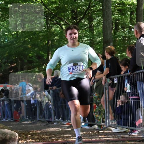28.09.2025 - 33. Volkslauf durch das schöne Alstertal Strokosch-Dieckow http://msf.ph/oto/8967921 28.09.2025 11:46:19 Ziel 3386 meine-sportfotos.de