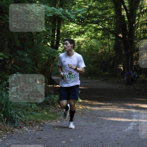 28.09.2025 - 33. Volkslauf durch das schöne Alstertal Strokosch-Dieckow http://msf.ph/oto/8967922 28.09.2025 10:48:48 Laufen 4114 meine-sportfotos.de