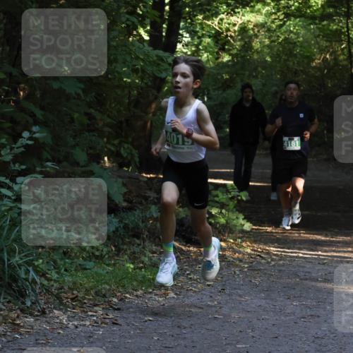 28.09.2025 - 33. Volkslauf durch das schöne Alstertal Strokosch-Dieckow http://msf.ph/oto/8967923 28.09.2025 10:48:59 Laufen 4015, 4161 meine-sportfotos.de