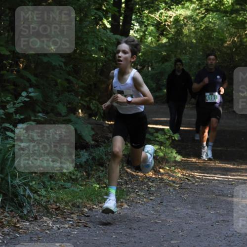 28.09.2025 - 33. Volkslauf durch das schöne Alstertal Strokosch-Dieckow http://msf.ph/oto/8967924 28.09.2025 10:48:59 Laufen 4161 meine-sportfotos.de