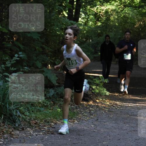 28.09.2025 - 33. Volkslauf durch das schöne Alstertal Strokosch-Dieckow http://msf.ph/oto/8967926 28.09.2025 10:48:59 Laufen 019, 4101 meine-sportfotos.de