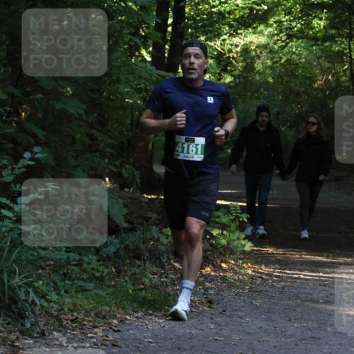 28.09.2025 - 33. Volkslauf durch das schöne Alstertal Strokosch-Dieckow http://msf.ph/oto/8967927 28.09.2025 10:49:01 Laufen 4161 meine-sportfotos.de