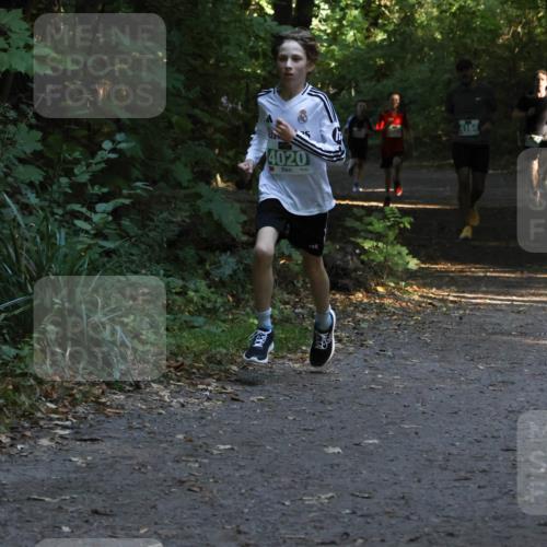 28.09.2025 - 33. Volkslauf durch das schöne Alstertal Strokosch-Dieckow http://msf.ph/oto/8967934 28.09.2025 10:49:21 Laufen 4020, 4164 meine-sportfotos.de