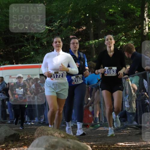 28.09.2025 - 33. Volkslauf durch das schöne Alstertal Strokosch-Dieckow http://msf.ph/oto/8967935 28.09.2025 11:46:37 Ziel 2455, 3153, 3162, 3163, 3172 meine-sportfotos.de