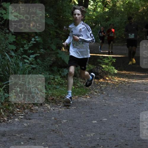 28.09.2025 - 33. Volkslauf durch das schöne Alstertal Strokosch-Dieckow http://msf.ph/oto/8967936 28.09.2025 10:49:21 Laufen 40240, 4164 meine-sportfotos.de