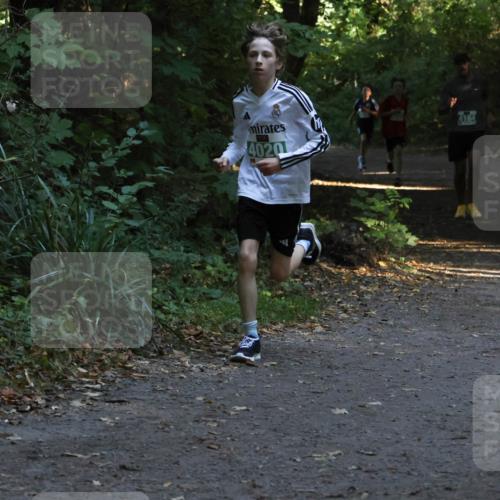 28.09.2025 - 33. Volkslauf durch das schöne Alstertal Strokosch-Dieckow http://msf.ph/oto/8967937 28.09.2025 10:49:21 Laufen 4020, 4164 meine-sportfotos.de