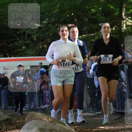 28.09.2025 - 33. Volkslauf durch das schöne Alstertal Strokosch-Dieckow http://msf.ph/oto/8967938 28.09.2025 11:46:37 Ziel 2455, 3153, 3162, 3163, 3172 meine-sportfotos.de