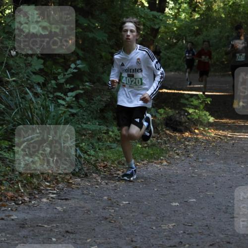 28.09.2025 - 33. Volkslauf durch das schöne Alstertal Strokosch-Dieckow http://msf.ph/oto/8967939 28.09.2025 10:49:21 Laufen 4020, 1164 meine-sportfotos.de