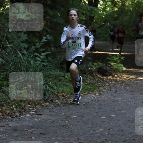28.09.2025 - 33. Volkslauf durch das schöne Alstertal Strokosch-Dieckow http://msf.ph/oto/8967940 28.09.2025 10:49:21 Laufen 4020 meine-sportfotos.de