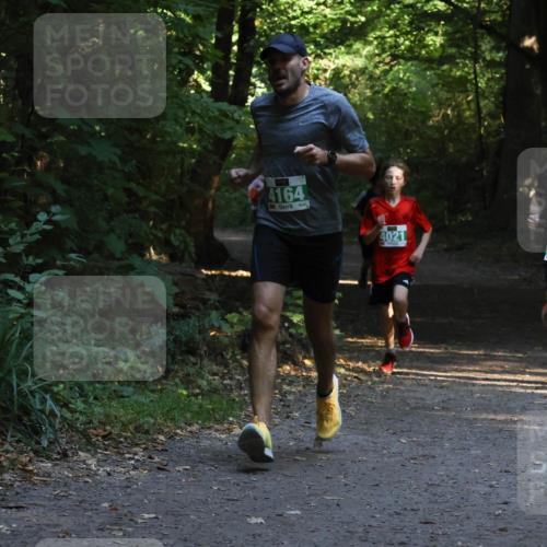 28.09.2025 - 33. Volkslauf durch das schöne Alstertal Strokosch-Dieckow http://msf.ph/oto/8967941 28.09.2025 10:49:25 Laufen 4164, 4021, 4022 meine-sportfotos.de