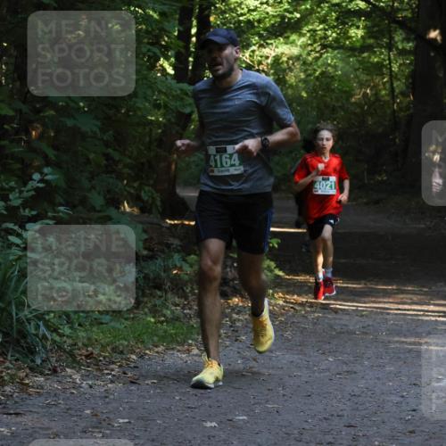 28.09.2025 - 33. Volkslauf durch das schöne Alstertal Strokosch-Dieckow http://msf.ph/oto/8967943 28.09.2025 10:49:25 Laufen 4164, 4021 meine-sportfotos.de