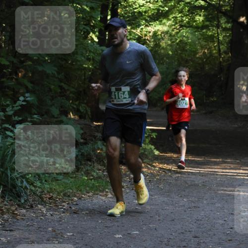 28.09.2025 - 33. Volkslauf durch das schöne Alstertal Strokosch-Dieckow http://msf.ph/oto/8967944 28.09.2025 10:49:25 Laufen 4164, 4021 meine-sportfotos.de