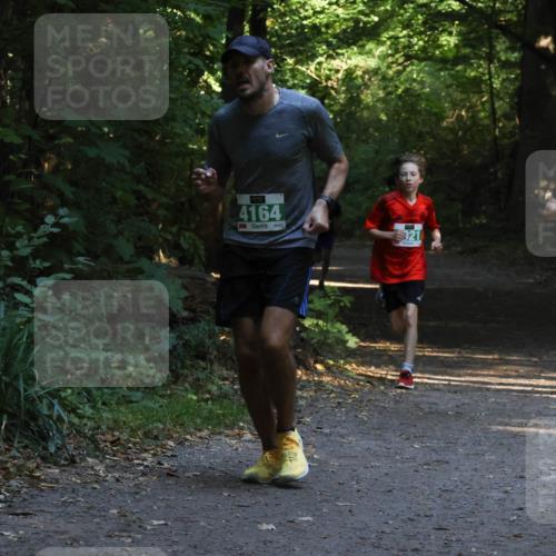 28.09.2025 - 33. Volkslauf durch das schöne Alstertal Strokosch-Dieckow http://msf.ph/oto/8967946 28.09.2025 10:49:25 Laufen 4164, 021 meine-sportfotos.de