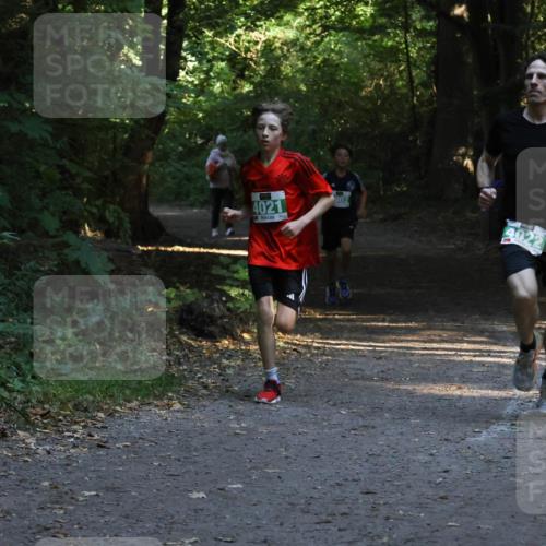 28.09.2025 - 33. Volkslauf durch das schöne Alstertal Strokosch-Dieckow http://msf.ph/oto/8967947 28.09.2025 10:49:26 Laufen 4021, 902 meine-sportfotos.de