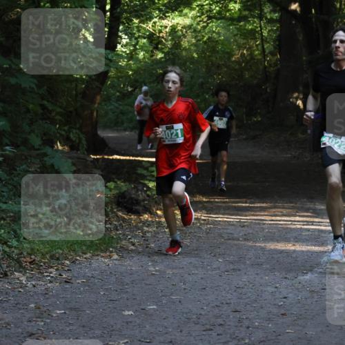 28.09.2025 - 33. Volkslauf durch das schöne Alstertal Strokosch-Dieckow http://msf.ph/oto/8967948 28.09.2025 10:49:26 Laufen 4021, 4902, 4022 meine-sportfotos.de