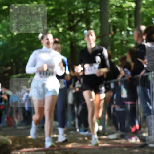 28.09.2025 - 33. Volkslauf durch das schöne Alstertal Strokosch-Dieckow http://msf.ph/oto/8967949 28.09.2025 11:46:40 Ziel 2455, 3153, 3162, 3163, 3172 meine-sportfotos.de