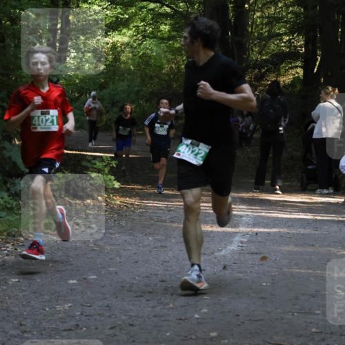 28.09.2025 - 33. Volkslauf durch das schöne Alstertal Strokosch-Dieckow http://msf.ph/oto/8967951 28.09.2025 10:49:27 Laufen 4021, 4902, 4022 meine-sportfotos.de