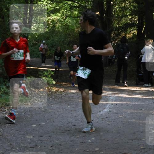 28.09.2025 - 33. Volkslauf durch das schöne Alstertal Strokosch-Dieckow http://msf.ph/oto/8967952 28.09.2025 10:49:27 Laufen 4021, 4902, 4022 meine-sportfotos.de