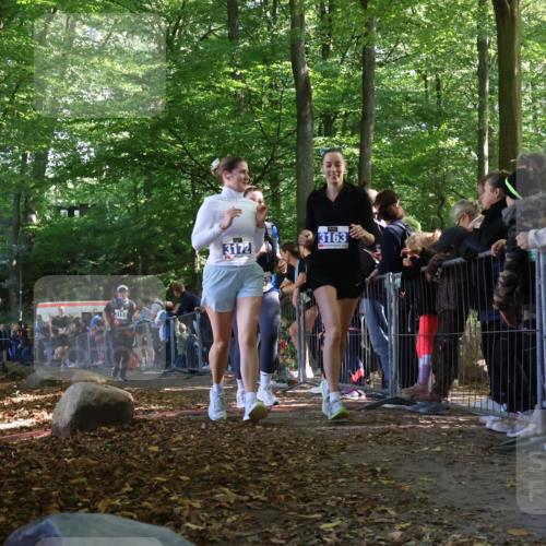 28.09.2025 - 33. Volkslauf durch das schöne Alstertal Strokosch-Dieckow http://msf.ph/oto/8967953 28.09.2025 11:46:40 Ziel 2455, 3153, 3162, 3163, 3172 meine-sportfotos.de