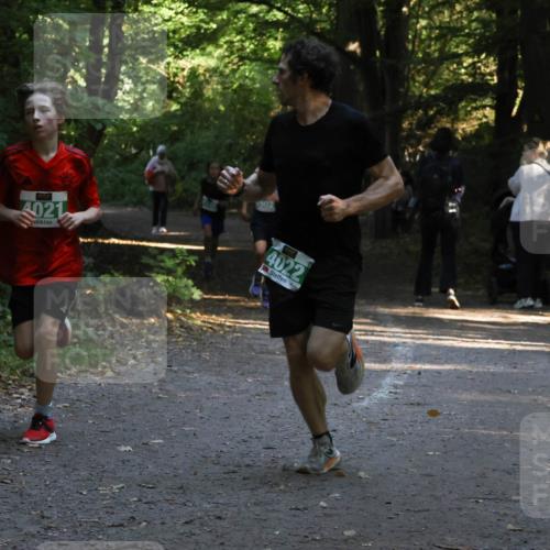 28.09.2025 - 33. Volkslauf durch das schöne Alstertal Strokosch-Dieckow http://msf.ph/oto/8967954 28.09.2025 10:49:27 Laufen 4021, 1902, 4022 meine-sportfotos.de