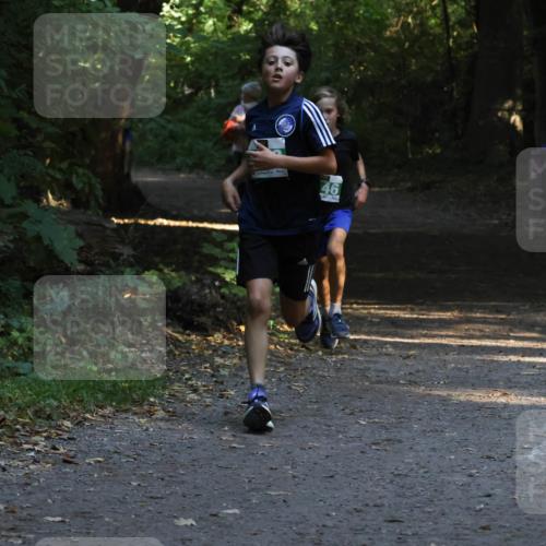 28.09.2025 - 33. Volkslauf durch das schöne Alstertal Strokosch-Dieckow http://msf.ph/oto/8967956 28.09.2025 10:49:30 Laufen 46 meine-sportfotos.de