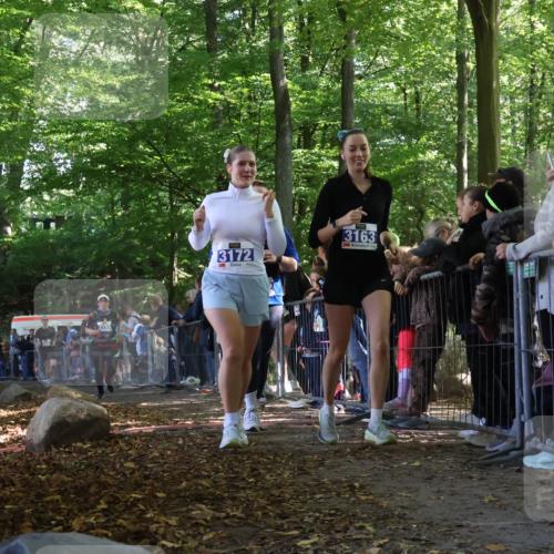 28.09.2025 - 33. Volkslauf durch das schöne Alstertal Strokosch-Dieckow http://msf.ph/oto/8967957 28.09.2025 11:46:41 Ziel 2455, 3153, 3162, 3163, 3172 meine-sportfotos.de